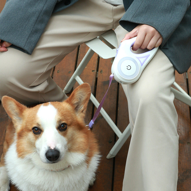 Automatic Retractable Dog Leash & Collar Set – Durable Traction Rope for Small to Medium Pets